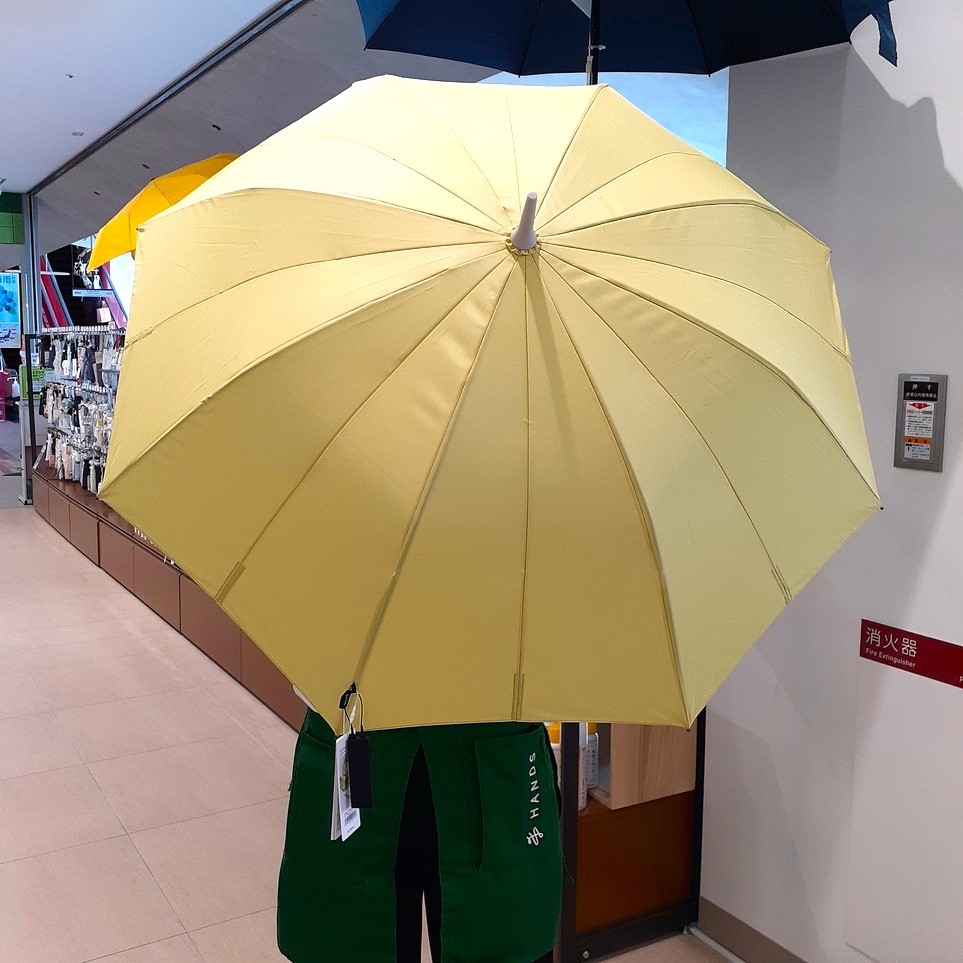 https://miyazaki.hands.net/item/20250612_1405031.jpg