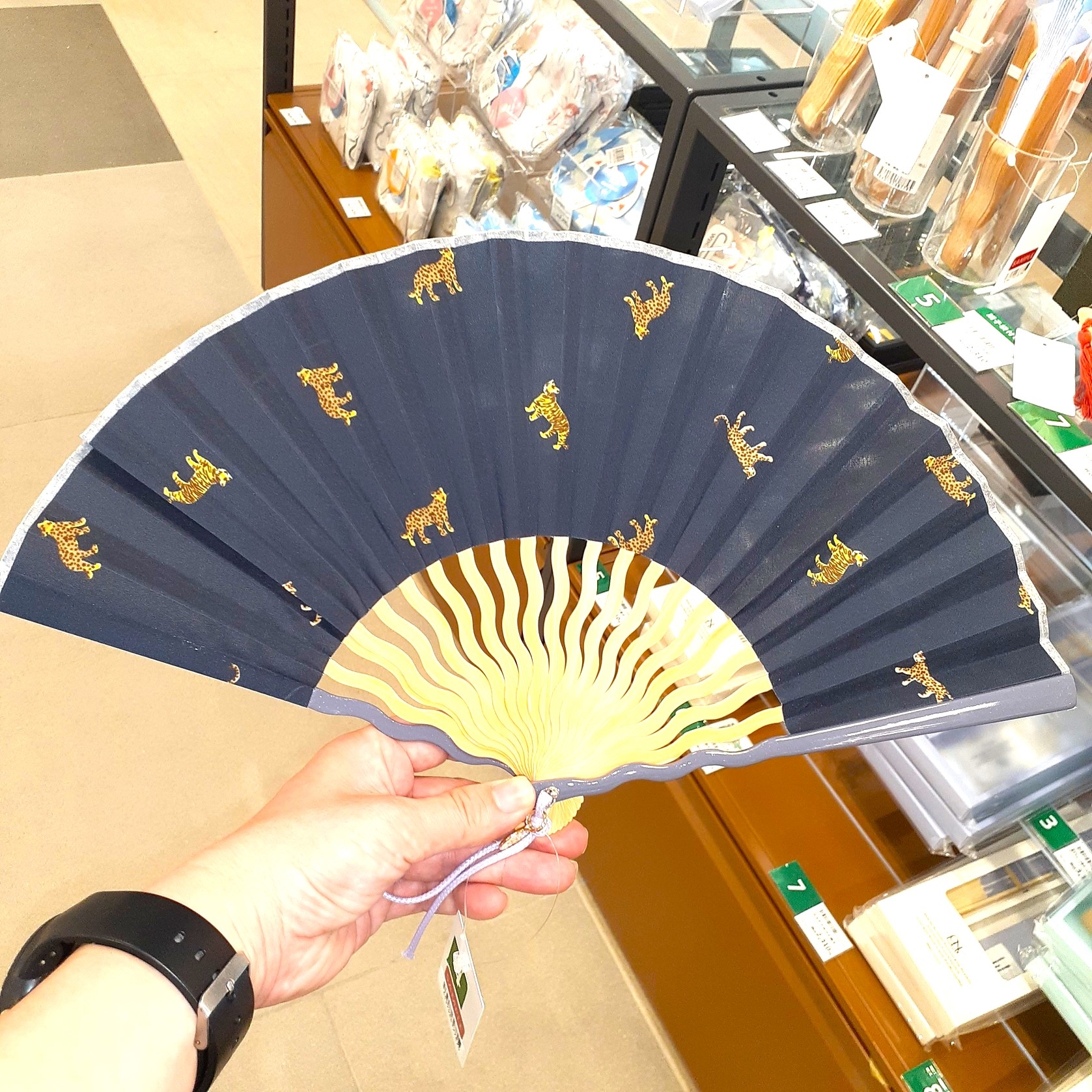 https://miyazaki.hands.net/item/20250711_1524141.jpg